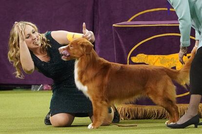 Una entrenadora junto a Falco, su retriever, en medio de un ejercicio de la categoría de canes deportivos.