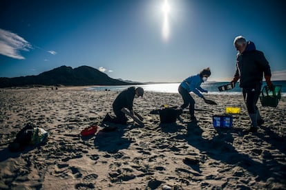Tareas de limpieza de 'pellets' a cargo de voluntarios en la playa de Area Maior, en Muros (A Coruña).
