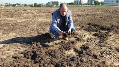 El misteri de la pudor a Barcelona es va tancar en fals perquè ningú acceptava que l'abonament amb fems de 3 hectàrees al Parc del Llobregat pogués causar tanta pudor a quilòmetres.