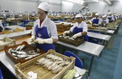 Trabajadoras de la conservera Usisa en Isla Cristina (Huelva).