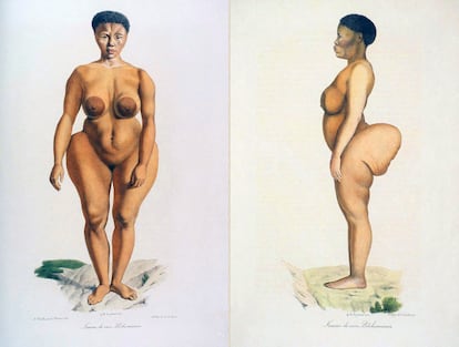 Saartjie 'Sarah' Baartman (1790 -1815) fue una mujer khoi capturada por colonos y explotada en espectáculos por sus curvas bajo el nombre de "la Venus de Hotentote".