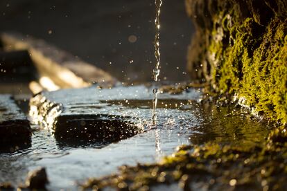 Estas aguas desempeñan una función vital en los sistemas hídricos y de saneamiento, agricultura, industria, ecosistemas naturales y estrategias de adaptación al cambio climático.