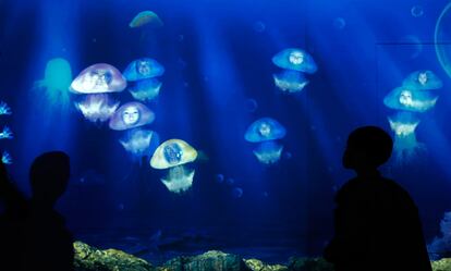 Visitantes miran sus retratos unidos a medusas durante una proyección en el Parque Oceánico de Hong Kong.