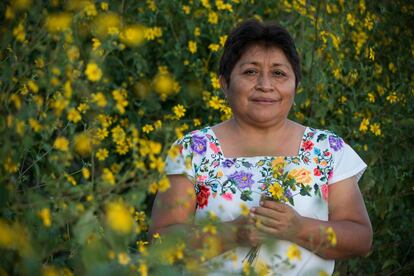 La líder maya Leydy Pech, galardonada con el premio medioambiental Goldman.