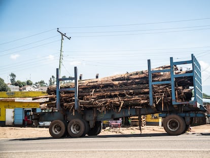 Un camión transporta troncos en una carretera de Elburgon, cerca de la ciudad de Nakuru. A principios de este mes, William Ruto, presidente de Kenia, anunció el levantamiento de una prohibición de seis años sobre la tala de árboles en bosques públicos y comunitarios, una medida que ha provocado la indignación de grupos ecologistas que advierten de las posibles consecuencias a largo plazo para el medio ambiente.