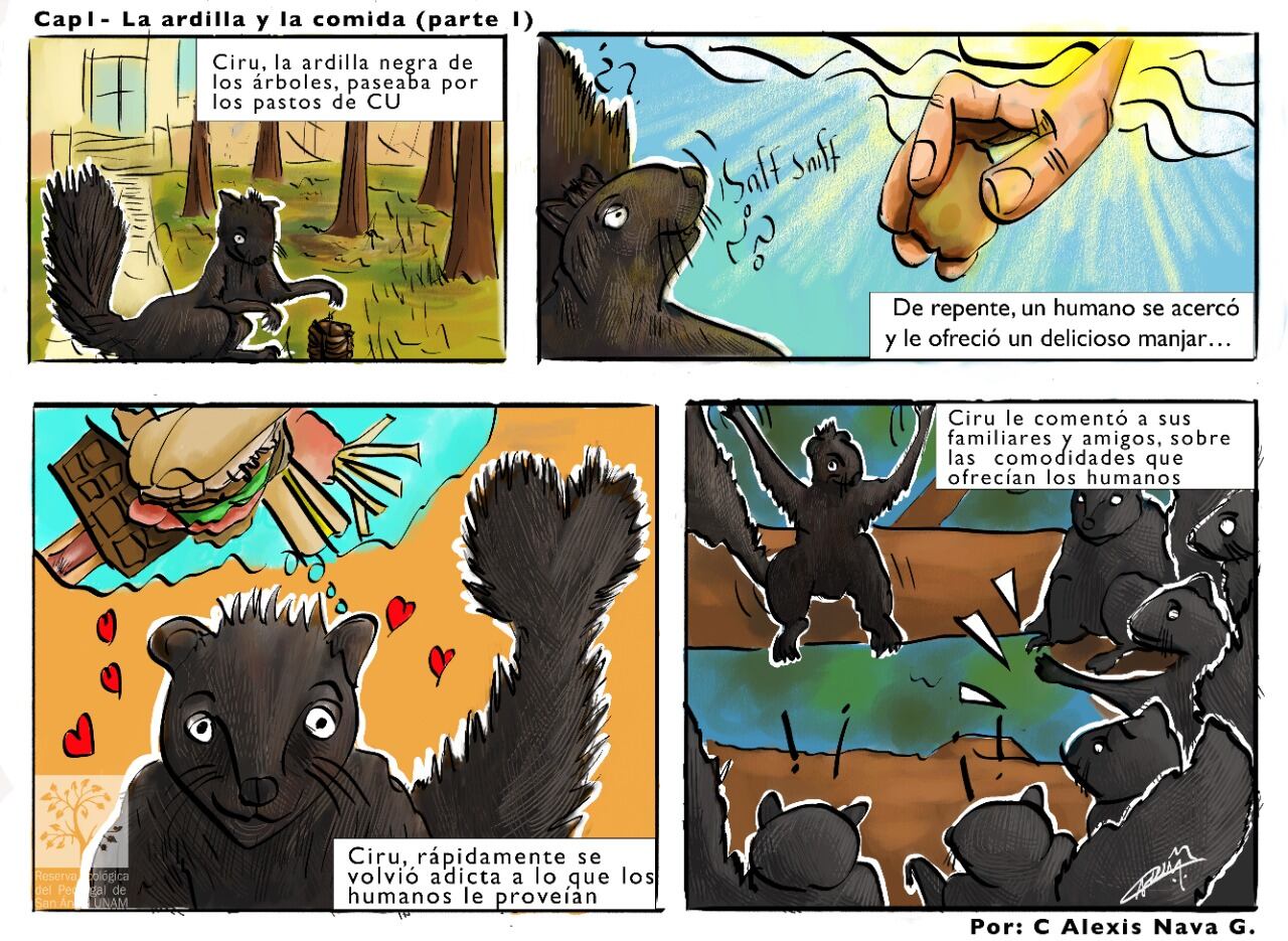 Imagen de un cómic sobre la plaga de ardillas elaborado por la Reserva Ecológica del Pedregal de San Ángel.
