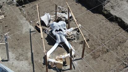 Vista aérea de un esqueleto de mamut en la base militar.