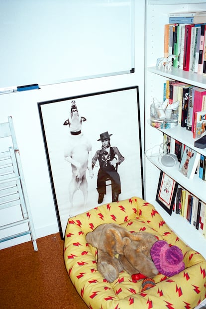 La cama de su perra junto a una foto de David Bowie.