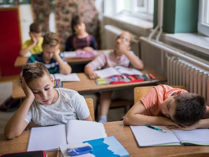 “En la educación tradicional, hasta los niños que sacan buenas notas desconectan, pierden la curiosidad”