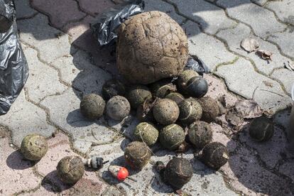 Basura encontrada en una de las recogidas nacionales del proyecto LIBERA.