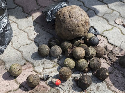 Basura encontrada en una de las recogidas nacionales del proyecto LIBERA.