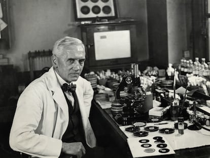 Alexander Fleming (1881-1955) al seu laboratori (circa 1929).