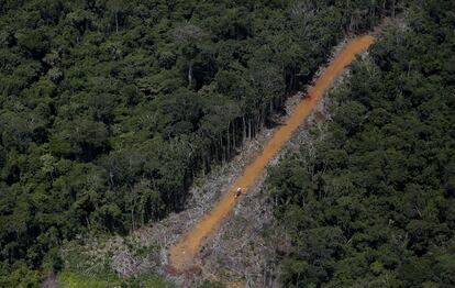 Un carril ilegal utilizado por mineros en la selva amazónica de Brasil. 