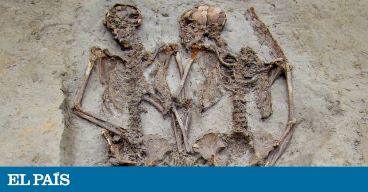 elpais.com