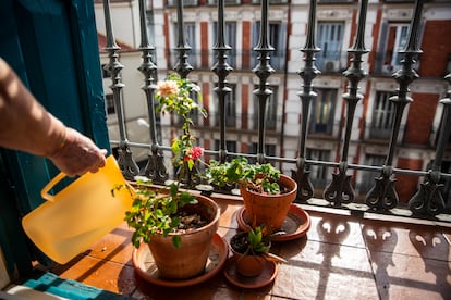 Una mujer riega las plantas de su balcón.