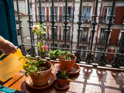 Una mujer riega las plantas de su balcón.