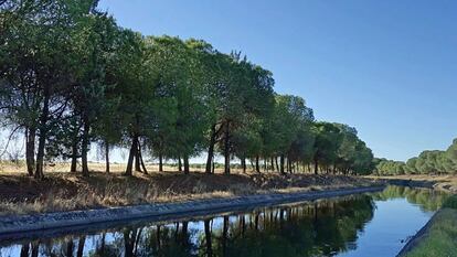 El canal de Orellana en Badájoz. Foto: Google Maps