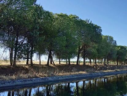 El canal de Orellana en Badájoz. Foto: Google Maps