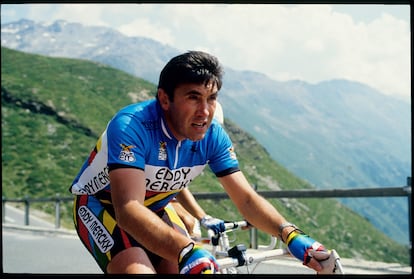 Eddy Merckx durante una grabación de un vídeo para ciclistas amateurs en 1988.