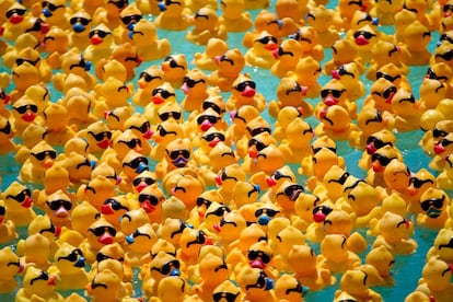 Unos 20.000 patitos de hule son lanzados a agua durante la celebración de la Gran Carrera del Patito de Hule en Puerto Morelos, en el estado mexicano de Quintana Roo, donde las donaciones recaudadas en el evento permitirán la compra de prótesis para personas que las requieren.