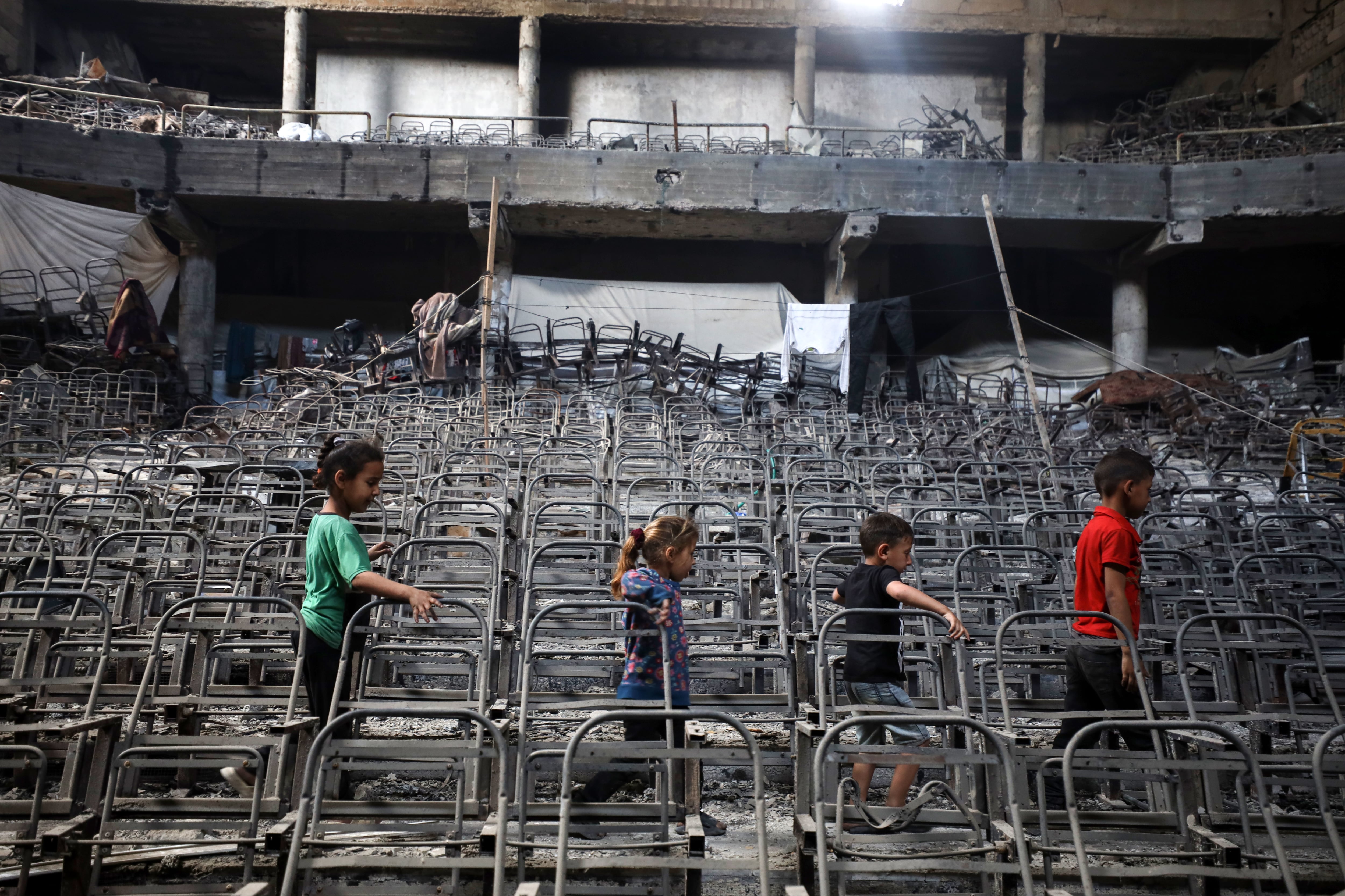 Gaza en una trunyella