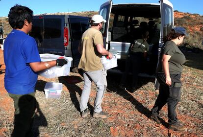 La asociación Aranzadi cuenta con criminólogos, forenses o biólogos para investigar casos de desapariciones durante la Guerra Civil. Entre sus investigadores hay dos jóvenes italianas, una francesa y un mexicano atraídos por las labores de recuperación de esqueletos, algo que consideran "increíble" y comparan con desapariciones producidas en países con terrorismo de Estado.