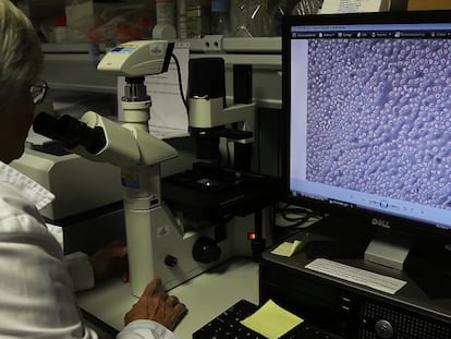 Una investigadora trabaja en el Centro de Biología Molecular Severo Ochoa, en Madrid.