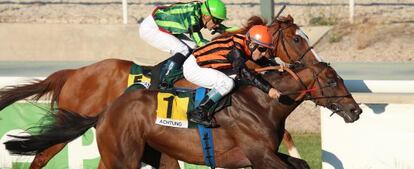 El caballo Achtung, durante el Gran Premio de Madrid.