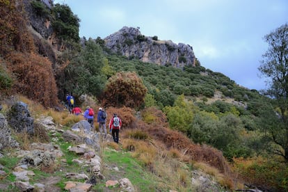 Sierra Nevada tiene el doble de altura y 100 veces más fama. Por eso, la sierra de Huétor es una perfecta desconocida en la mayor parte de España. No así en Granada, ciudad de la que está a solo 10 kilómetros al noreste y para la que es un recreo cómodo, habitual y tradicional, que ya en el siglo XI los reyes ziríes venían a pasar aquí la Pascua de los Alaceres, en tiempo de la vendimia, y celebrar añaceas, zambras y jolgorios varios. Alfaguara llamaron los musulmanes a la zona de la sierra más próxima a Granada, por su abundancia en aguas manantías. Testigo de ello es la milenaria Fuente Grande, en la localidad de Alfacar: un nacedero borboteante cuyas linfas cristalinas se remansan en un estanque monumental, de 30 metros por 15, en forma de lágrima. Se puede (y se debe) pasear por la acequia de Aynadamar, que desde este manadero surtía al barrio granadino del Albaicín y que el poeta e historiador Ibn al-Jatib describía rodeada de huertos deliciosos, jardines incomparables, mirtos y palacios. (turgranada.es/ juntadeandalucia.es)
