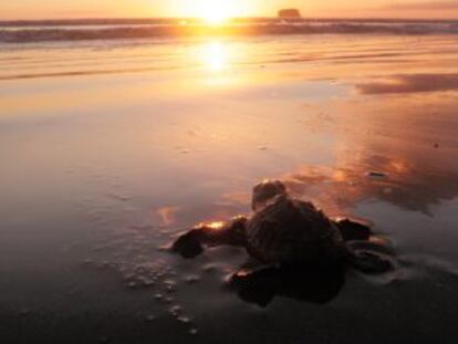 Libertad en el horizonte