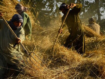 Las 20 mejores imágenes de la semana