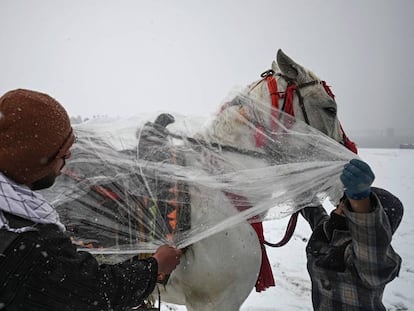 Dos hombres cubren su caballo durante una nevada en Kabul (Afganistán).