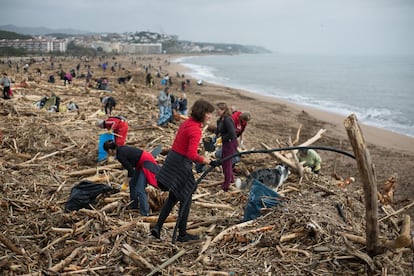 Un equip de voluntaris s'ha apropat aquest dissabte al matí a la platja d'Arenys de Mar per netejar les escombraries acumulades pel temporal Glòria.