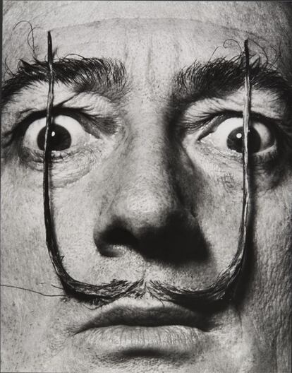 El bigote de Salvador Dalí. "Plantados como dos centinelas, mis bigotes defienden la entrada a mi interior", dijo el artista sobre su mostacho en 1954, año en que se tomó la fotografía.