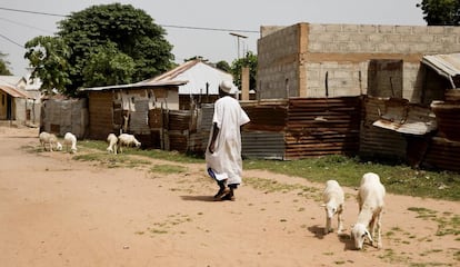 En Gambia el sector agrícola proporciona ingresos al 70% de la población, pero solo representa el 30% del PIB.