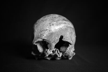 Cráneo encontrado en el pozo de Salamanco Chico a 31 metros en Feria, Badajoz.