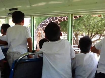 Niños del albergue Unacari, en Sonora, visitan un zoológico /Gobierno de Sonora.
