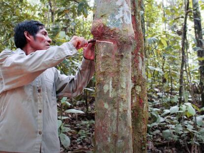 Los indígenas son cruciales para la conservación de la Amazonía.