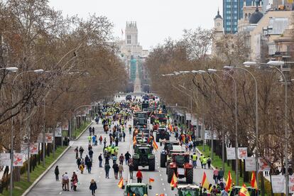 Agricultores y ganaderos, este domingo en el centro de Madrid.  