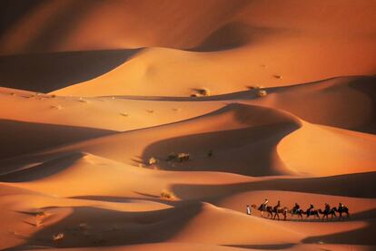 Cuando el viajero piensa en un paseo a camello por el desierto del Sáhara (en la foto, una caravana de camellos cerca de Merzouga) probablemente no imagine tantas sacudidas, pero no hay que preocuparse. Por la noche, en el cielo parece haber más estrellas que en ningún otro lugar del mundo, porque Erg Chigaga, el mayor mar de dunas de Marruecos –serpentea 40 kilómetros siguiendo el horizonte y limita al norte y sur con cadenas montañosas–, se encuentra a varios días en camello del alumbrado más cercano. Además de en camello, se puede llegar en todoterreno, pero no tiene el mismo encanto.