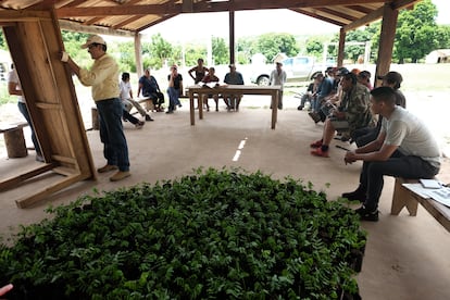 A local organizer talks to a group of volunteers for a reforestation effort.