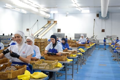 Mujeres trabajando en una fábrica de conservas de Isla Cristina (Huelva). 