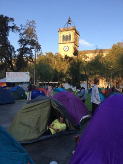 Una jove mira el mòbil en despertar-se aquest dijous al matí.