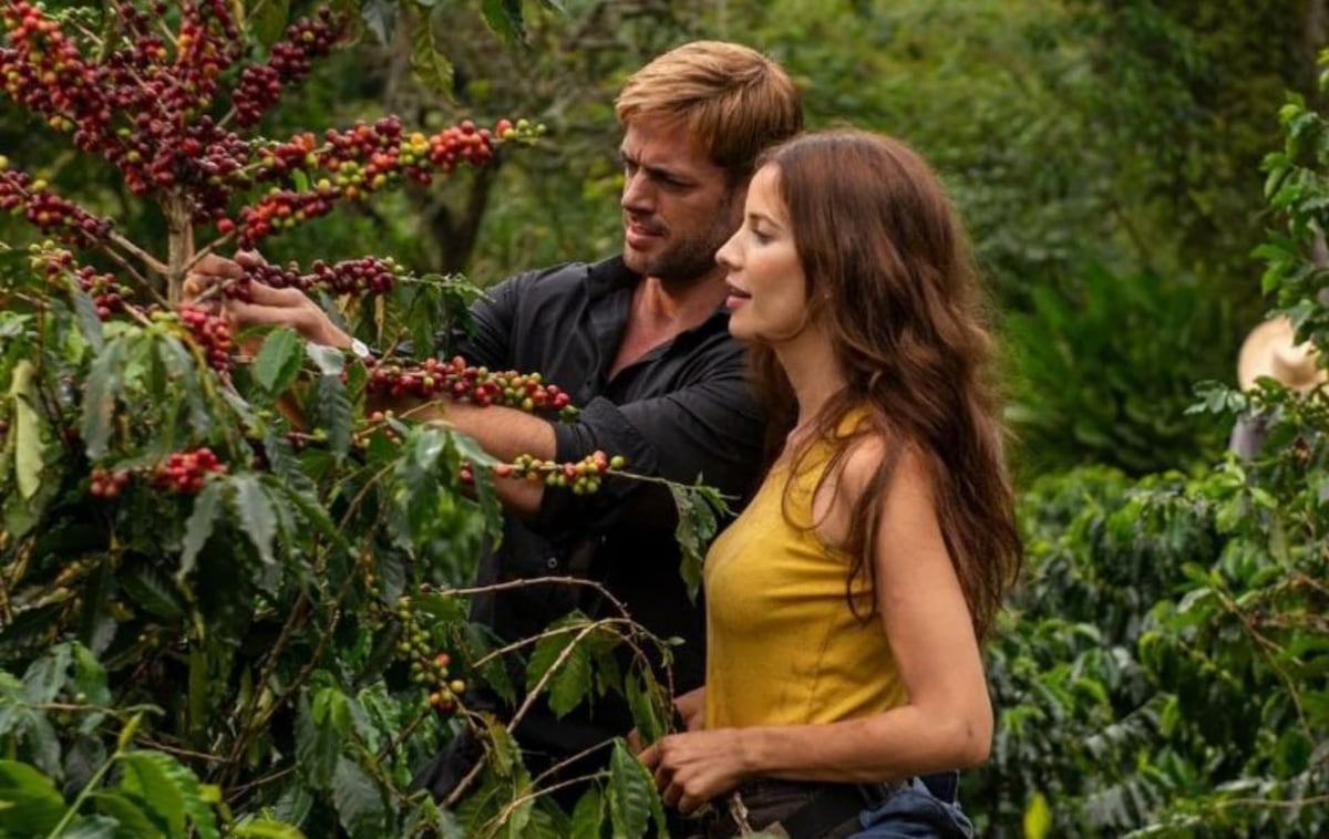 ‘Café con aroma de mujer’: el exitoso ‘remake’ de la icónica telenovela ...