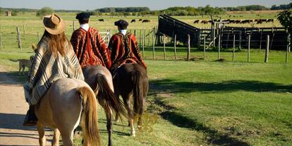 El Corredor Ecoturístico del Litoral es un nuevo circuito sostenible por parques nacionales tan seductores como Iguazú, Saltos del Moconá o El Impenetrable. Buenos Aires presume de sus atractivos con un dato: es la capital más visitada de Latinoamérica y tiene una agenda llena de acontecimientos y eventos para 2019. La provincia más austral, Tierra de Fuego, y su paisaje lleno de contrastes es un destino clásico.  Una cita con lo más genuino: San Antonio de Areco, capital del gaucho y famosa por su arquitectura colonial, en plena pampa.