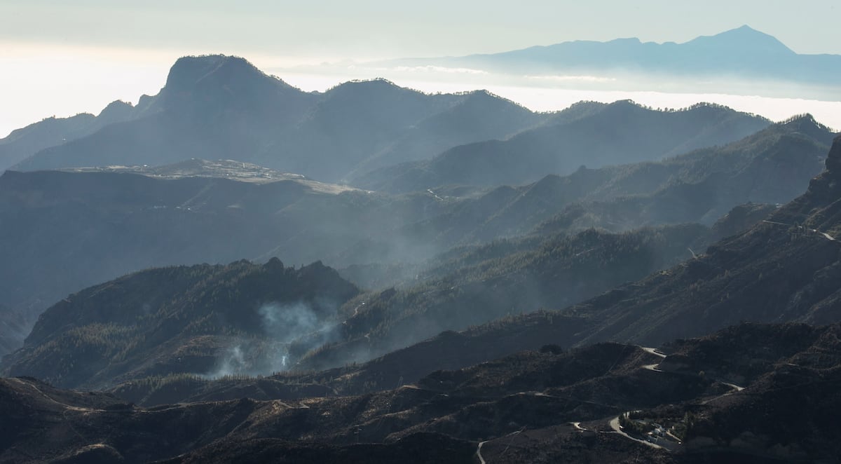 Las lecciones aprendidas de los incendios en Gran Canaria: pastores, gestión del paisaje y fuego | Sociedad