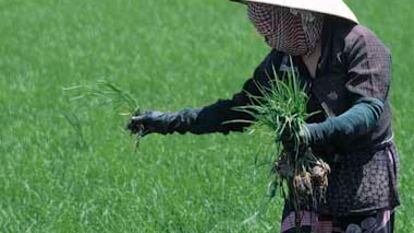 ¿A dónde viajaremos en 2010?