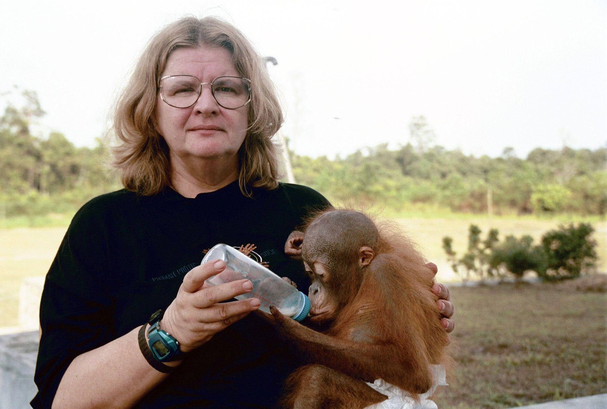 Jane Goodall y la biblioteca de los grandes monos: diez libros ...
