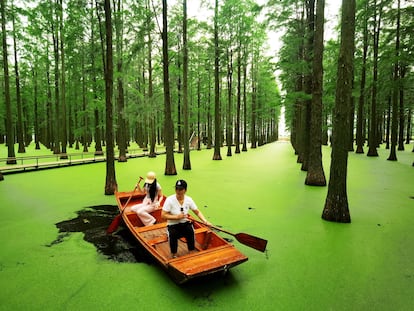 En la ciudad de Yangzhou, al norte de Shanghái, se esconde un parque natural formado por un inmenso humedal.