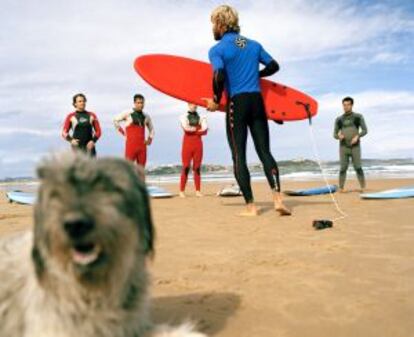 Clases de surf en la playa de Somo, en Cantabria.